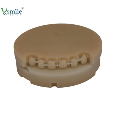 Pmma Dental Discs